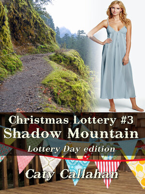 cover image of Christmas Lottery 3